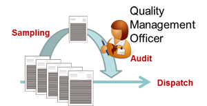 Quality Audit