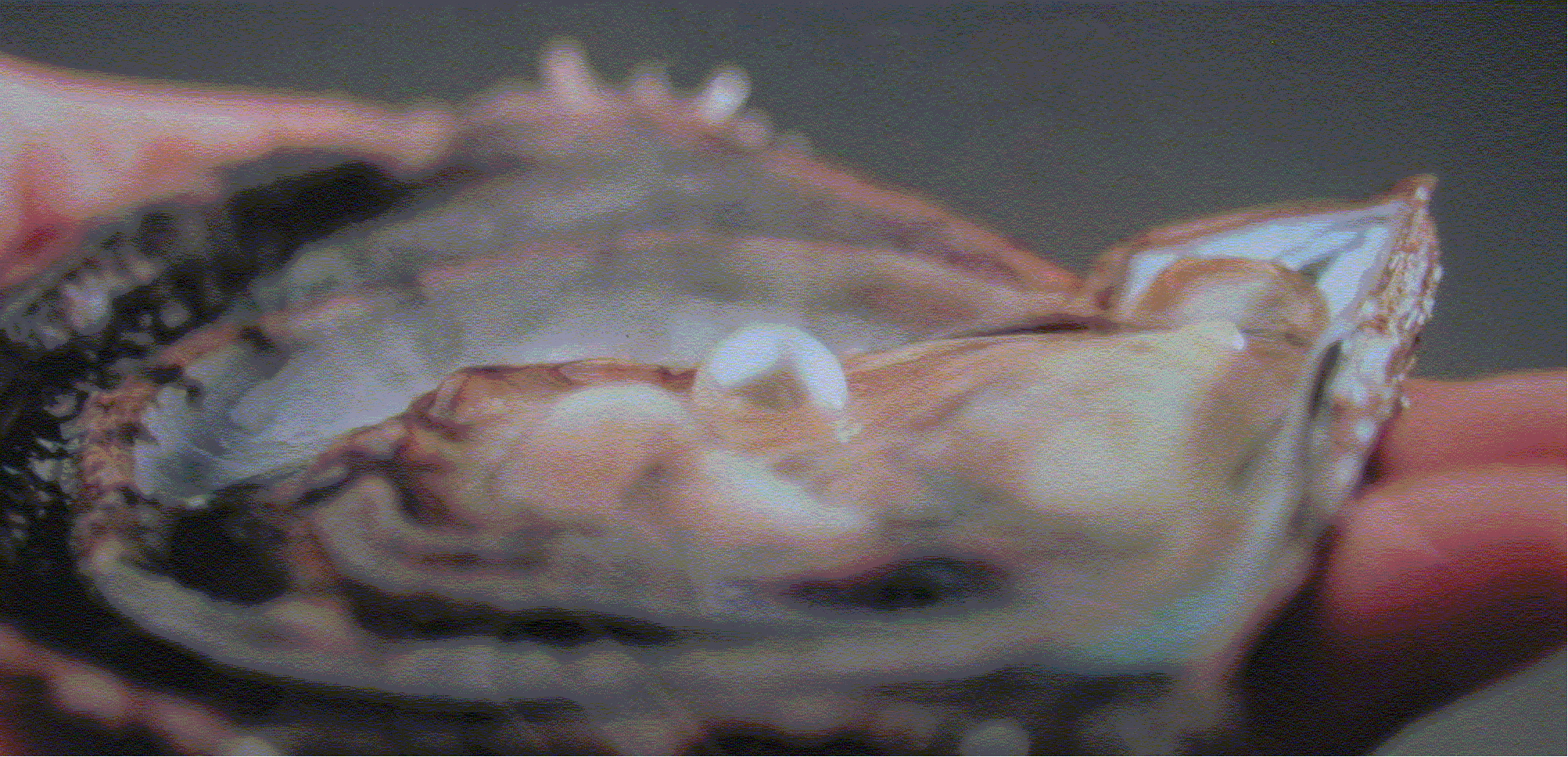 Cultured pearls