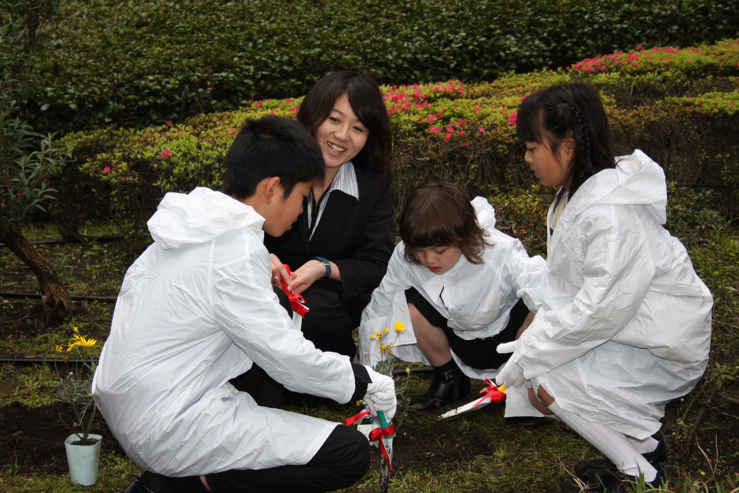 tree-planting