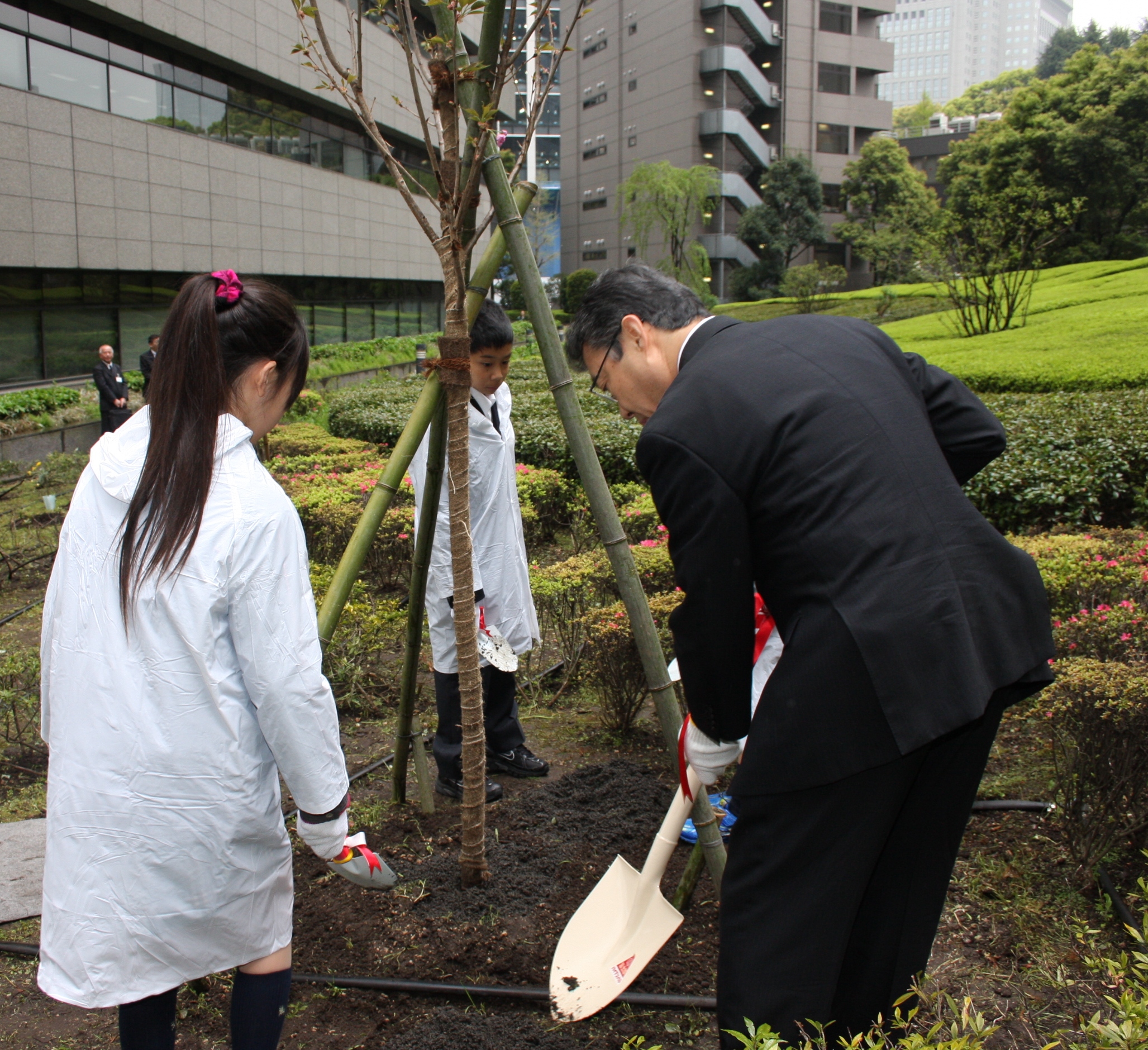 tree-planting