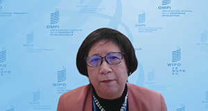 (Photo-6) Ms. Wang (WIPO) 