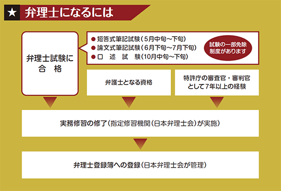 図解：弁理士になるには