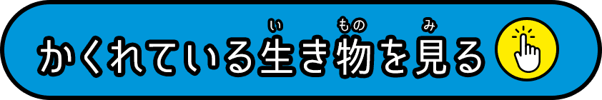 かくれている生き物を見る