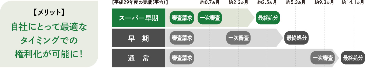 スーパー早期審査のスケジュールの図