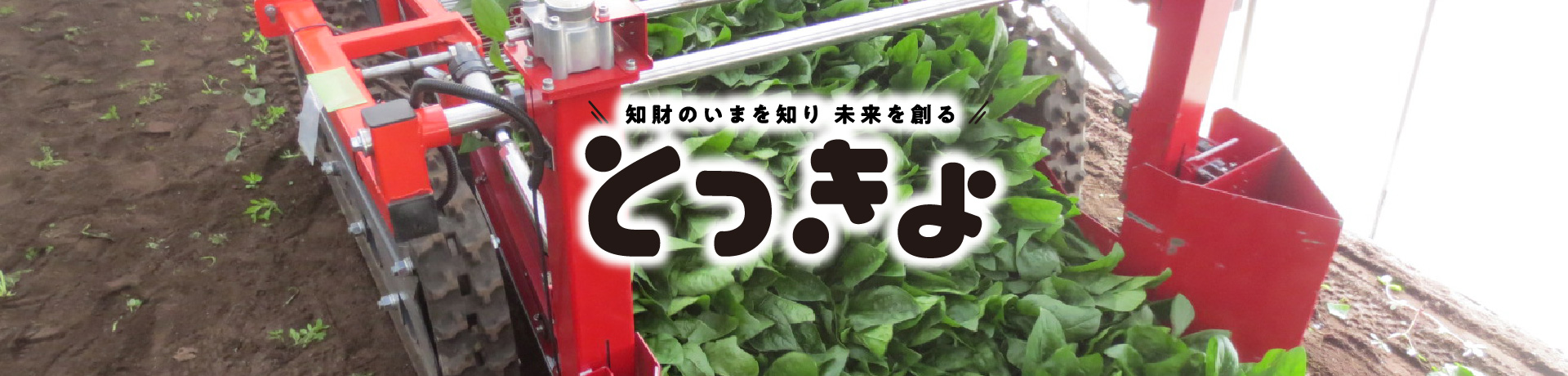 知財のいまを知り 未来を創る とっきょ