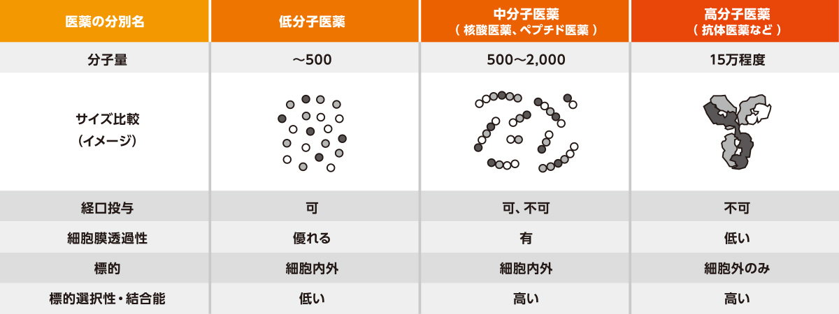 分子量による医薬の分別一覧