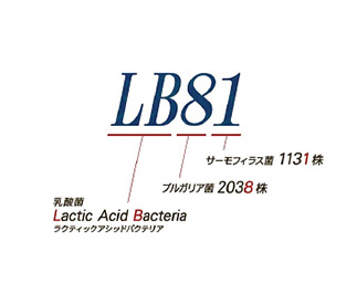 LB81乳酸菌
