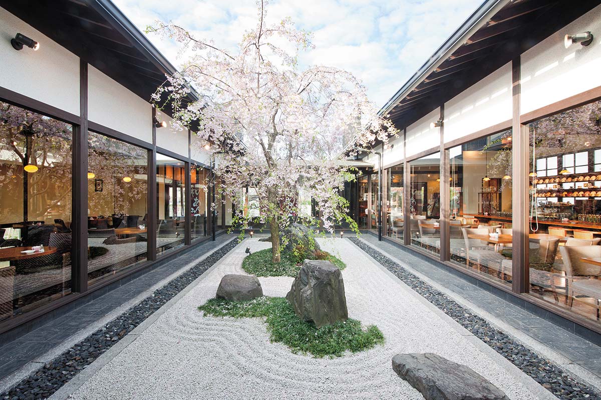 石庭のシンボルである枝垂れ桜