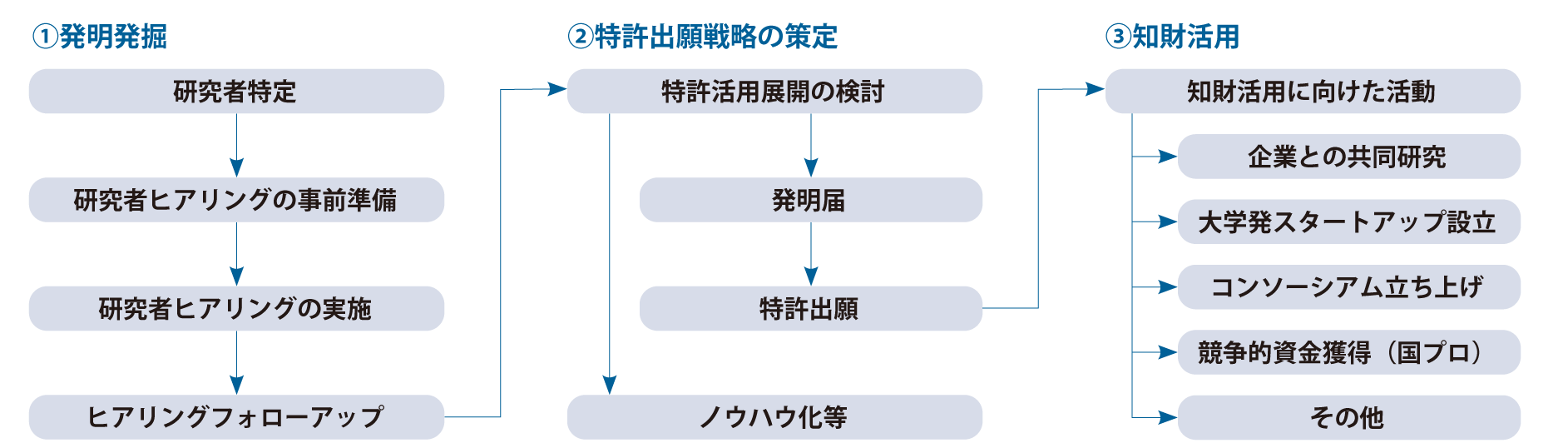 研究成果の社会実装の全体像と本マニュアルの構成