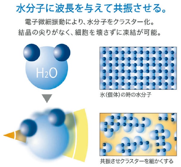 水分子に波長を与えて共振させる。電子微細振動により、水分子をクラスター化。結晶の尖りがなく、細胞を壊さずに凍結が可能。
