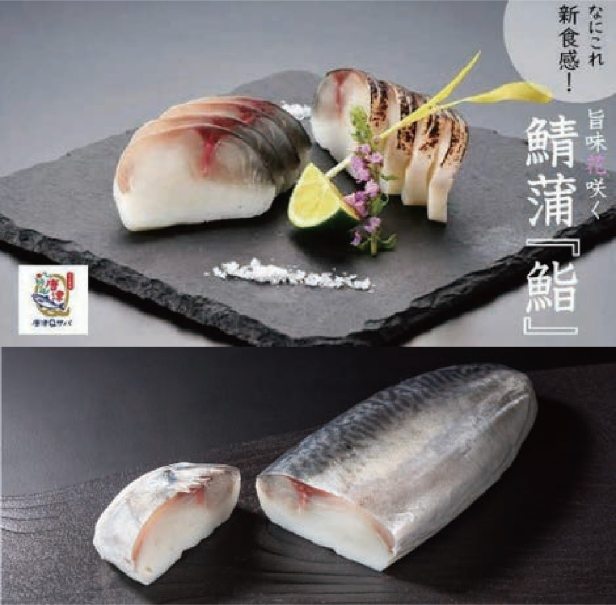 鯖浦『鮨』