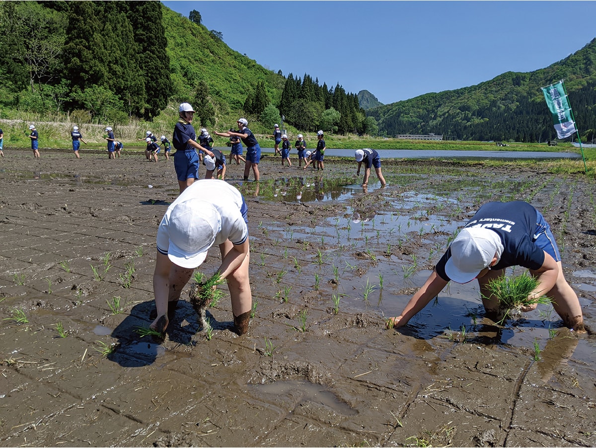 小学5年生の「地域学」の授業 田植えの様子
