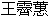 王 副司長