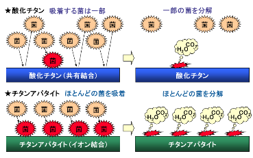 （図）チタンアパタイト：ほとんどの菌を吸着・分解