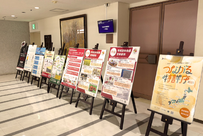 （写真）パネル展示