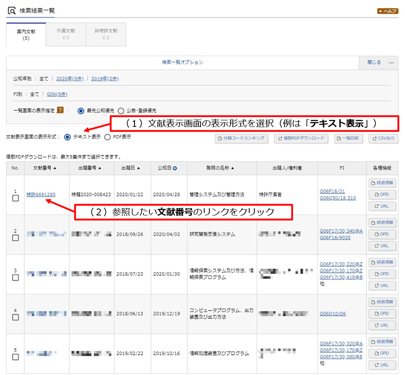 （画面イメージ）「文献表示画面の表示形式」を選択して「文献番号」のリンクをクリック