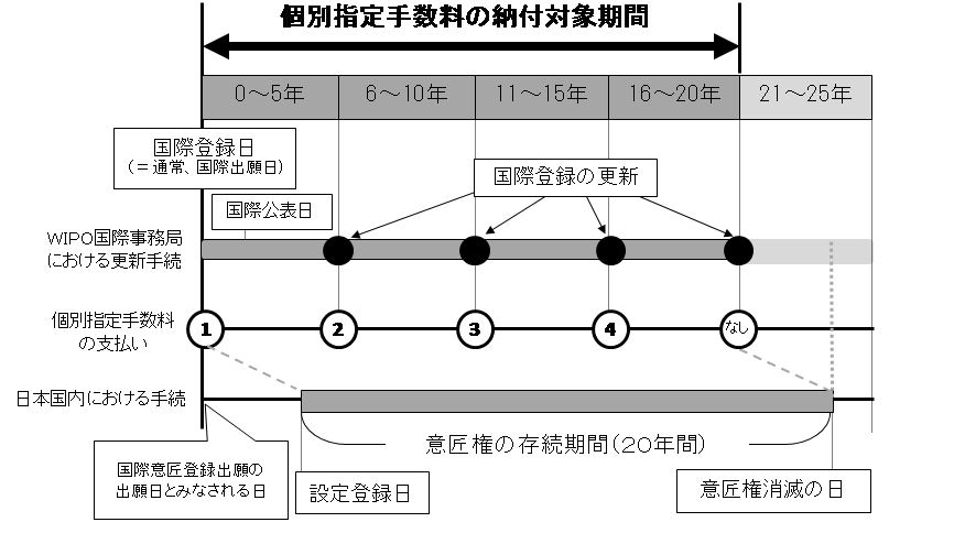 国際登録の更新と個別指定手数料の支払