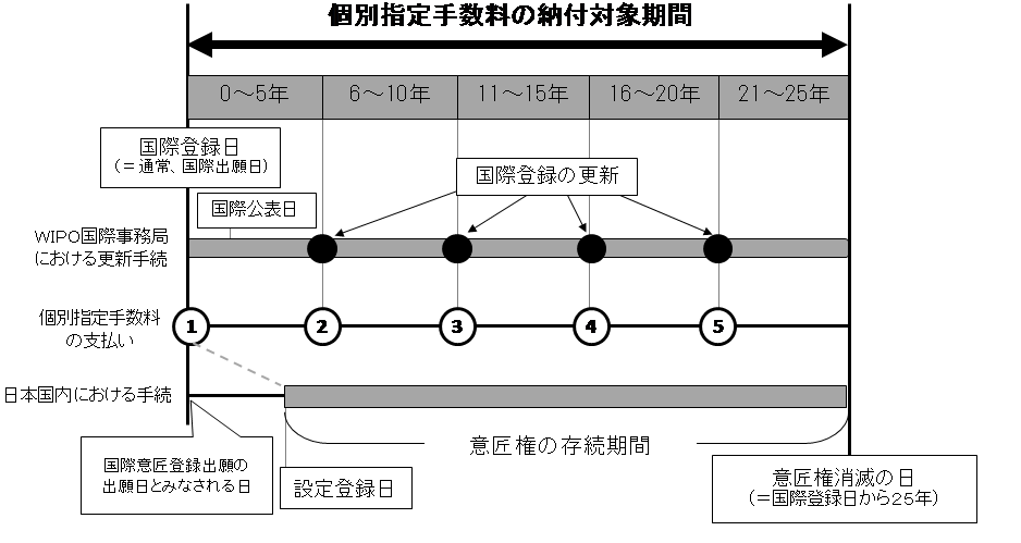 国際登録の更新と個別指定手数料の支払