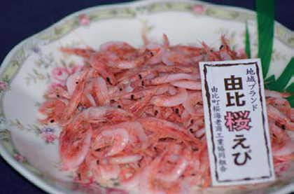 写真：由比桜えび