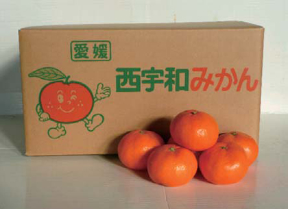 写真：西宇和みかん