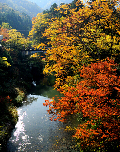 写真：山中温泉