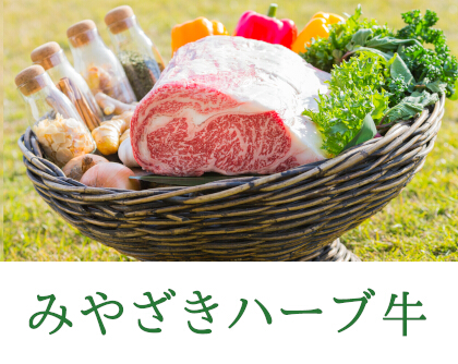 写真：宮崎ハーブ牛