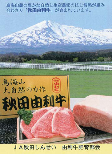 写真：秋田由利牛