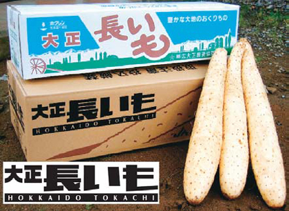 写真：大正長いも