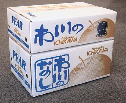 写真：市川の梨