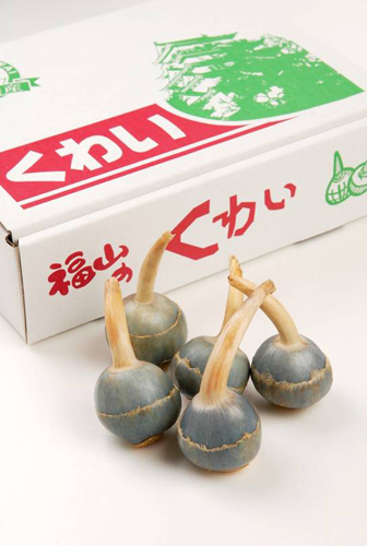 写真：福山のくわい