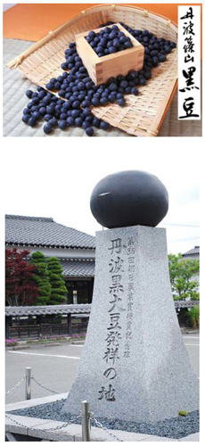 写真：丹波篠山黒豆