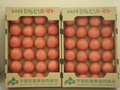 写真：びらとりトマト