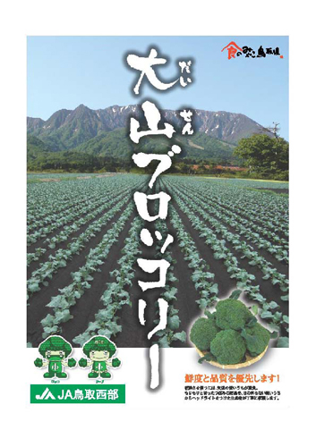 写真：大山ブロッコリー