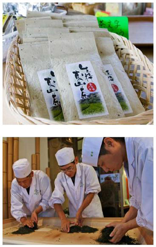 写真：東山茶