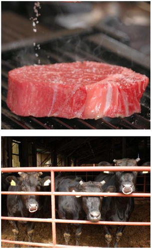 写真：石見和牛肉
