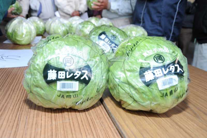 写真：藤田レタス