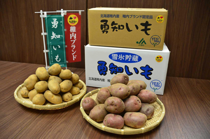 写真：勇知いも