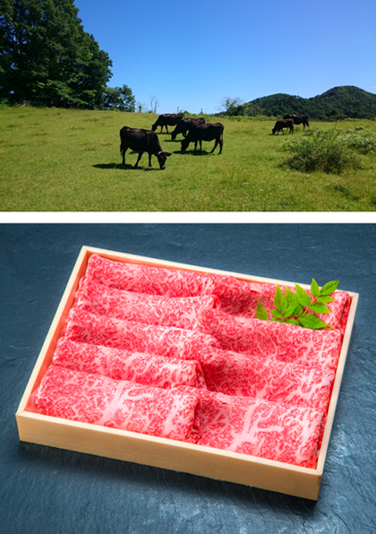 写真：比婆牛