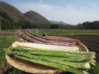 写真：会津田島アスパラ