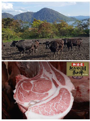 写真：とうや湖和牛