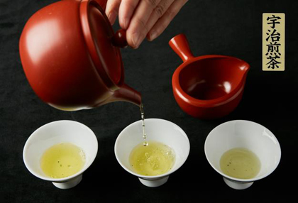 写真：宇治煎茶