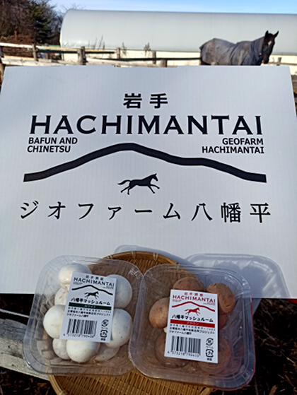 写真：八幡平マッシュルーム