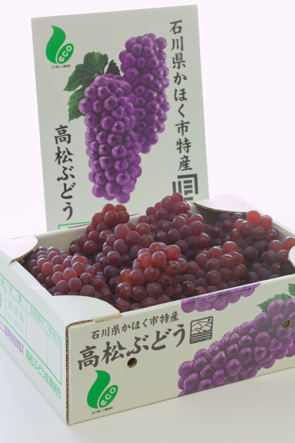 写真：高松ぶどう