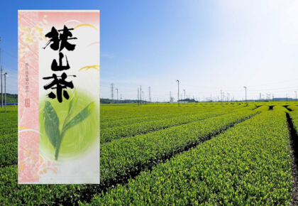 写真：狭山茶