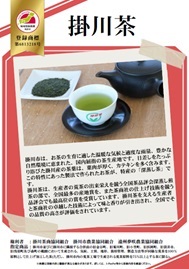 紹介パネル：掛川茶