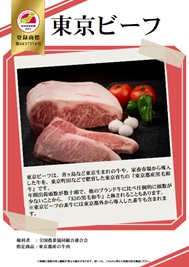 紹介パネル：掛川茶