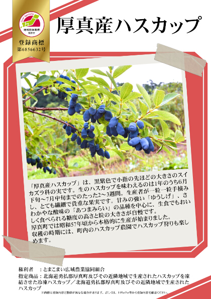 紹介パネル：厚真産ハスカップ