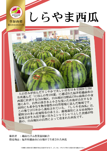 紹介パネル：しらやま西瓜