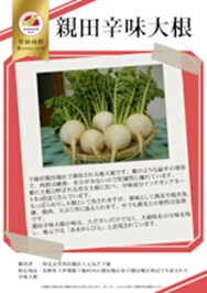 紹介パネル：親田辛味大根