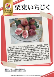 紹介パネル：栗東いちじく